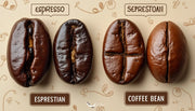 Uncover the key differences between espresso beans and coffee beans, and learn how each impacts flav