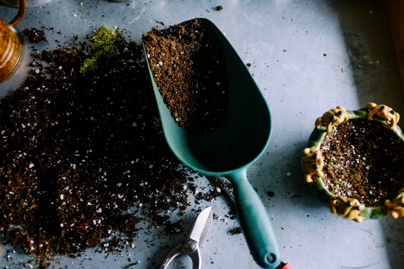 How to Compost Coffee Grounds at Home