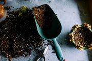 How to Compost Coffee Grounds at Home